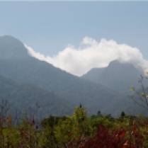 Gunung Bawang dengan ketinggian 1.468 m dpl berada di Kabupaten Bengkayang.
